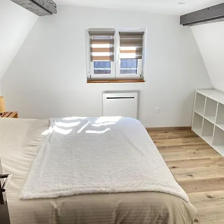 بيت للعطل Maison Alsacienne & Moderne En Hypercentre *