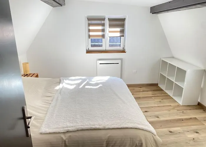 Hébergement de vacances Maison Alsacienne&moderne En Hypercentre *
